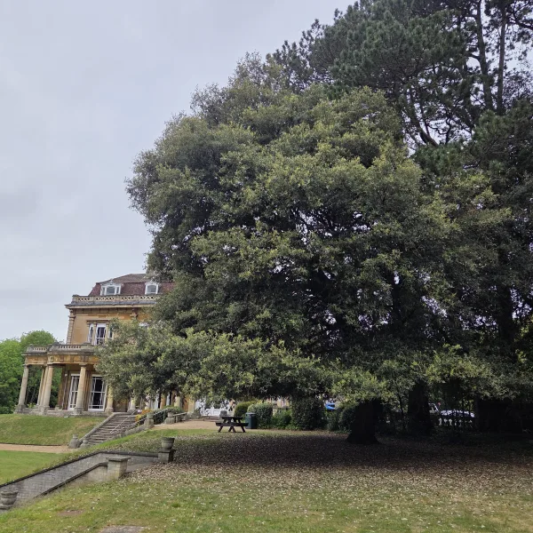 Headington Road, Headington Hill