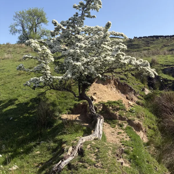 Greenbooth Reservoir