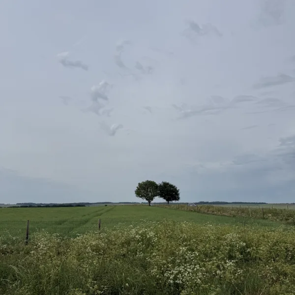 The Ridgeway, West Ilsley