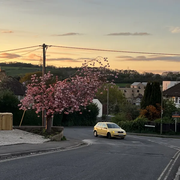 Crabtree Road, Botley