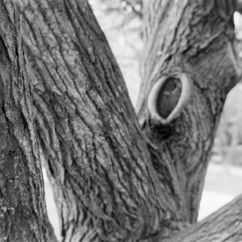 Photos taken by members of the 'Lived Experience Advisory Forum' for homelessness and guests at The Gatehouse in University Parks and Jericho based on the theme of the exhibition.
