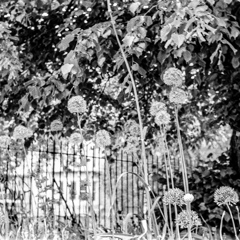 Photos taken by members of the 'Lived Experience Advisory Forum' for homelessness and guests at The Gatehouse in University Parks and Jericho based on the theme of the exhibition.