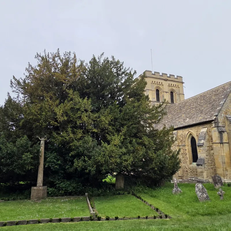 This is thought to be the oldest tree in Oxford. Yew trees are often found in churchyards. Yews were important in pagan ceremonies as a gateway to the afterlife, and in Christian thought has been seen as a symbol of resurrection, due to it's year round foliage and longevity.