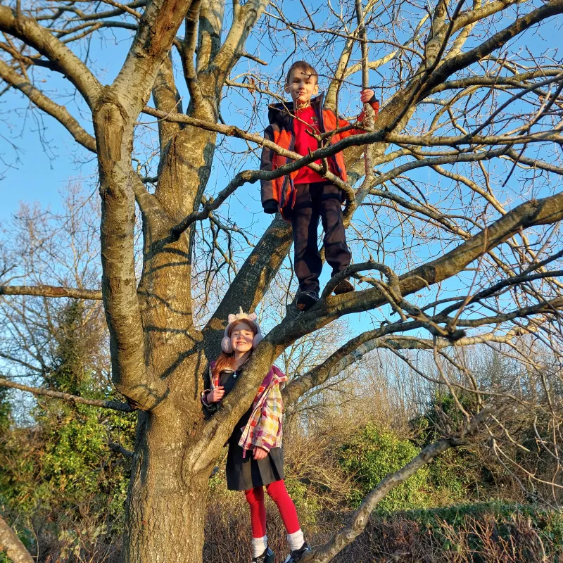 I love climbing this tree, and so do many other children from my school!