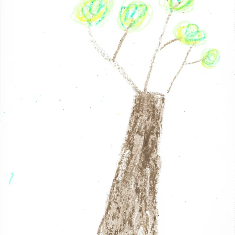 Drawings submitted by Lucia and Becca - they love drawing as much as they love trees! These pictures remind me of this pollarded (heavily pruned) tree that we pass often on the way into Oxford on the Banbury Road.