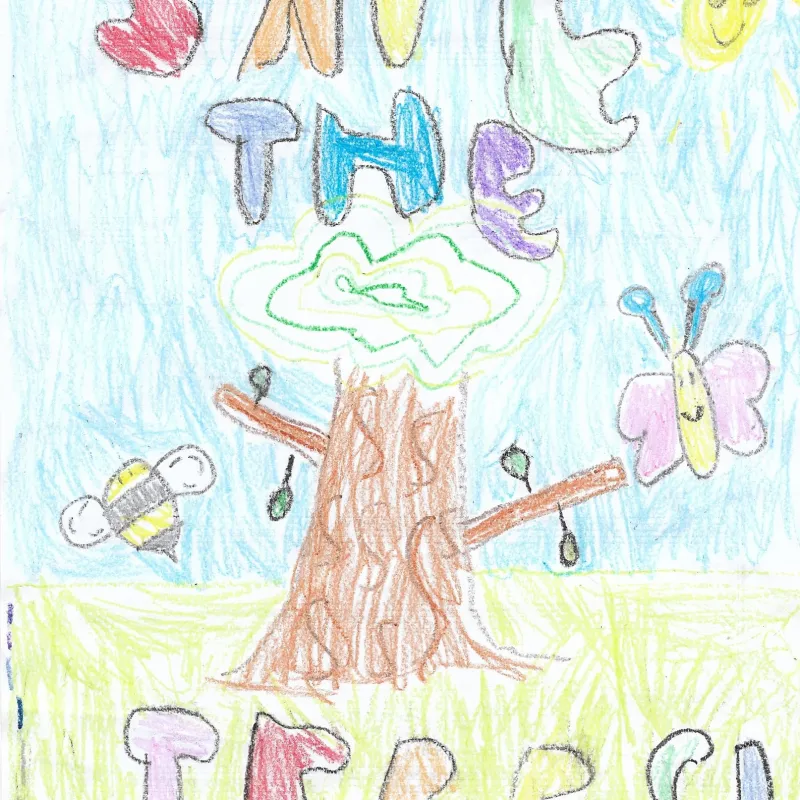 Holly sent in this poster after hearing about the exhibition at a cake sale. In a weekend filled with eco-activism, she has also been distributing posters encouraging us to 'Save the turtles' in Summertown, and says that her favourite trees are Cherry trees because of the pretty blossom.