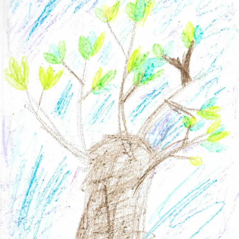 Drawings submitted by Lucia and Becca - they love drawing as much as they love trees! These pictures remind me of this pollarded (heavily pruned) tree that we pass often on the way into Oxford on the Banbury Road.