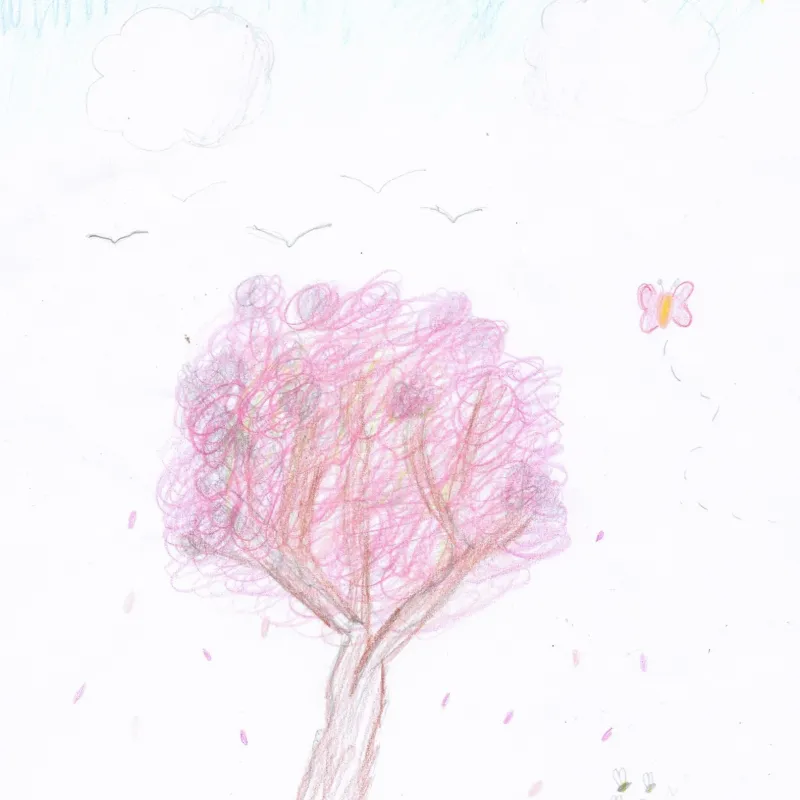 Drawings of favourite trees in the school playground by members of Cutteslowe Primary School's Eco Club. Many thanks to Hattie, Aadhya, Alice, Ariana, and Hatice (plus one other whose name is ilegible!) for your amazing pieces of art.