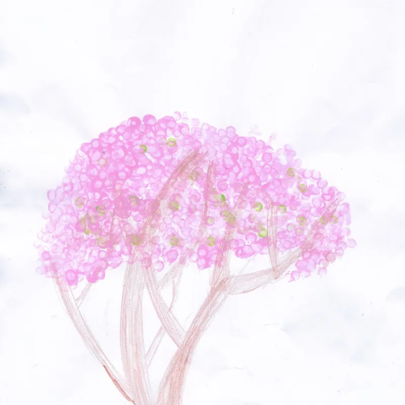Drawings of favourite trees in the school playground by members of Cutteslowe Primary School's Eco Club. Many thanks to Hattie, Aadhya, Alice, Ariana, and Hatice (plus one other whose name is ilegible!) for your amazing pieces of art.