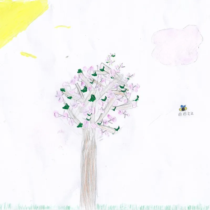 Drawings of favourite trees in the school playground by members of Cutteslowe Primary School's Eco Club. Many thanks to Hattie, Aadhya, Alice, Ariana, and Hatice (plus one other whose name is ilegible!) for your amazing pieces of art.