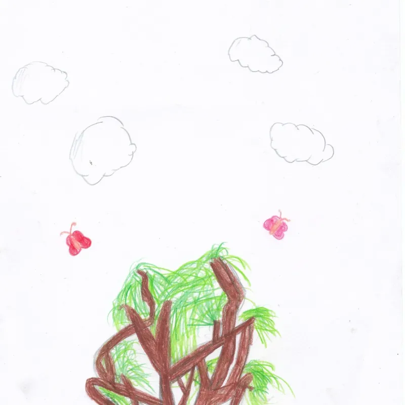 Drawings of favourite trees in the school playground by members of Cutteslowe Primary School's Eco Club. Many thanks to Hattie, Aadhya, Alice, Ariana, and Hatice (plus one other whose name is ilegible!) for your amazing pieces of art.