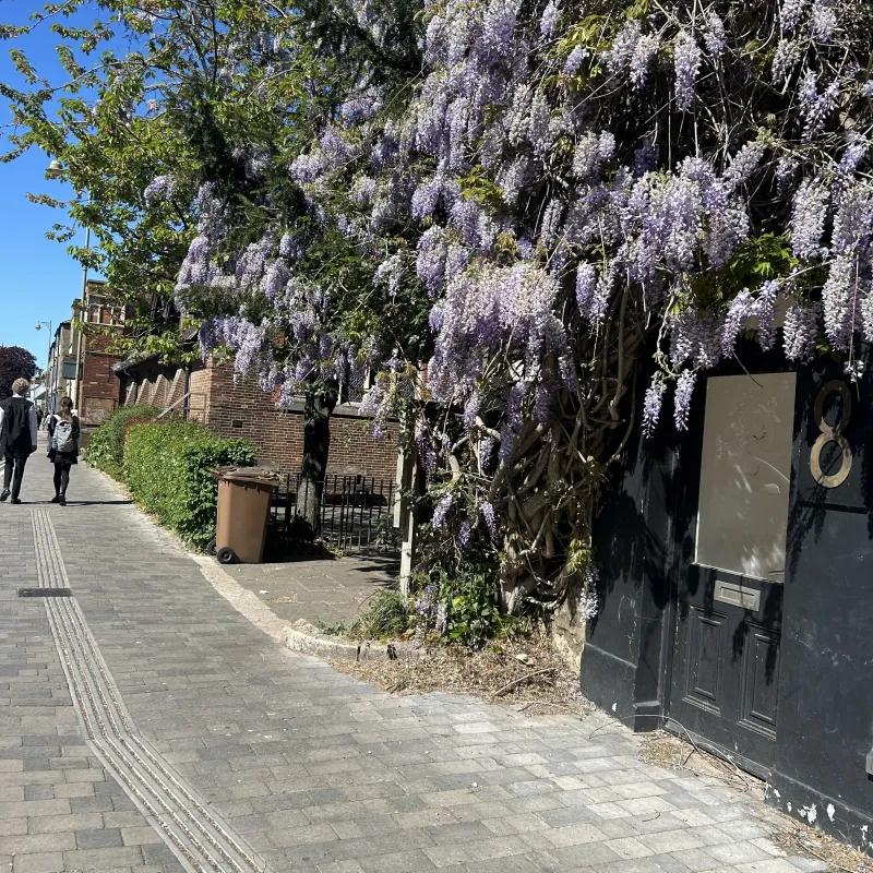 This tree frames the entrance to The Gatehouse next to St Giles church and it is a welcoming place where people can get food, clothing, showers and support.