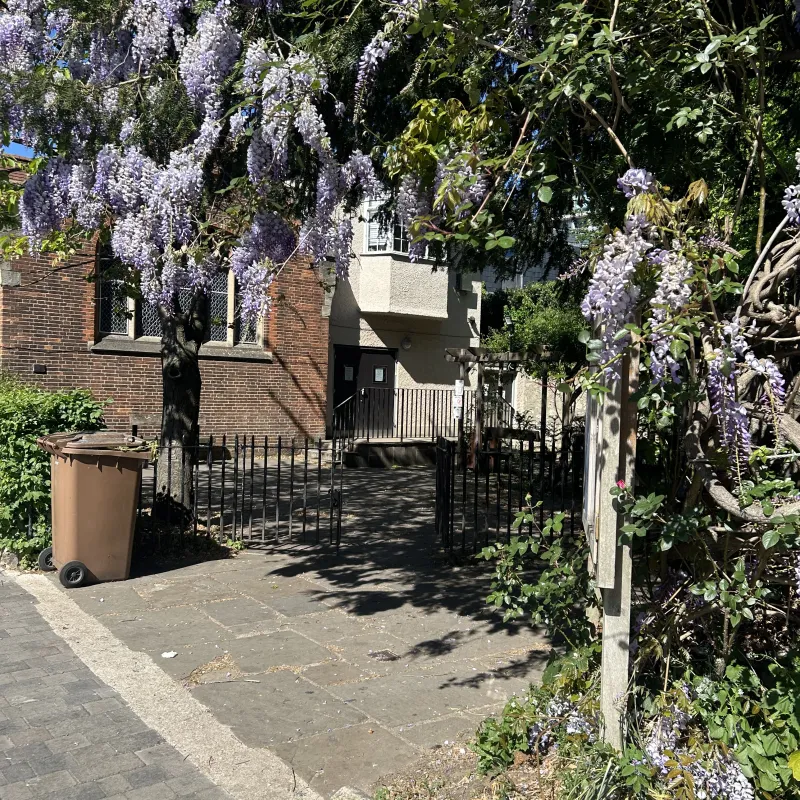 This tree frames the entrance to The Gatehouse next to St Giles church and it is a welcoming place where people can get food, clothing, showers and support.