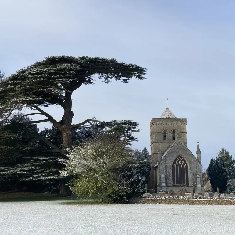This beautiful tree and its wonderful framing of the ancient church has formed the backdrop for many hours of play (for my children) and chatting (for me).