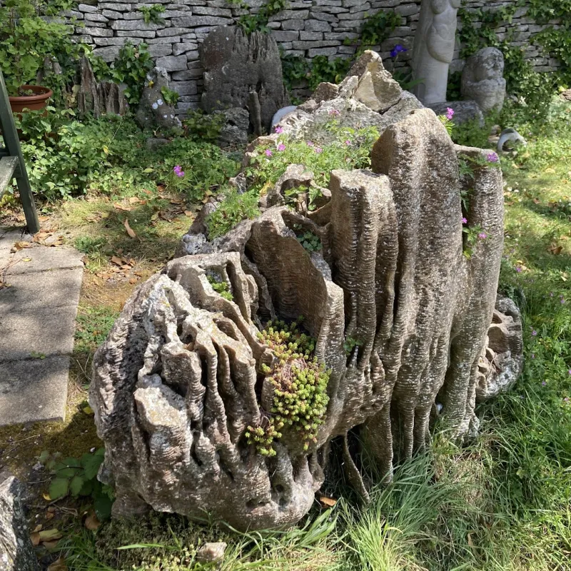 Fossilised tree stump, Museum of Portland, Dorset. Dead for millions of years, it retains a sort of beauty and fascination.
Margaret & Roger