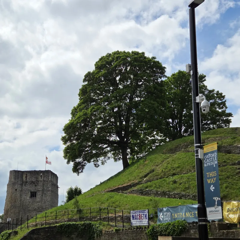I love the way these two trees stand out on the skyline, overlooking the city jail and wider area, just as the castle once did.